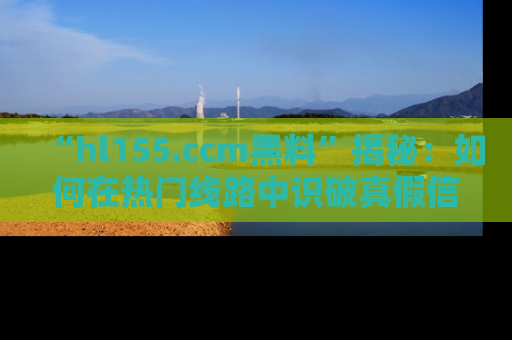 “hl155.ccm黑料”揭秘:如何在热门线路中识破真假信息