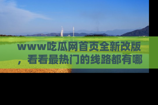 www吃瓜网首页全新改版，看看最热门的线路都有哪些！