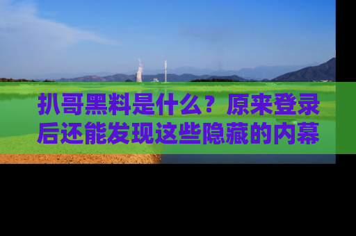 扒哥黑料是什么？原来登录后还能发现这些隐藏的内幕！