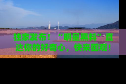 独家发布！“明星黑料”直达你的好奇心，快来围观！