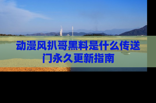 动漫风扒哥黑料是什么传送门永久更新指南