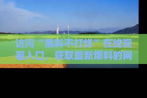 访问“黑料不打烊”在线观看入口，获取最新爆料的网址！