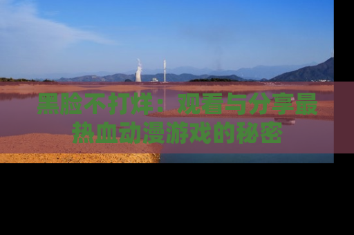 黑脸不打烊：观看与分享最热血动漫游戏的秘密