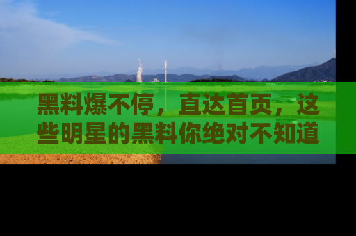 黑料爆不停，直达首页，这些明星的黑料你绝对不知道！