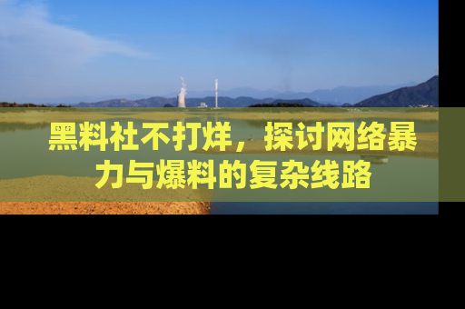 黑料社不打烊，探讨网络暴力与爆料的复杂线路
