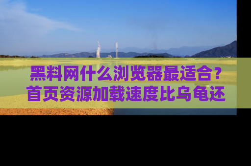 黑料网什么浏览器最适合？首页资源加载速度比乌龟还慢的体验真心吐槽！