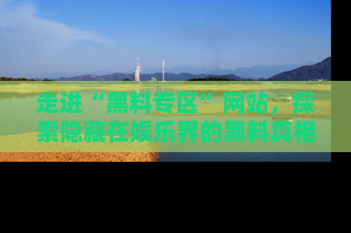 走进“黑料专区”网站,探索隐藏在娱乐界的黑料真相